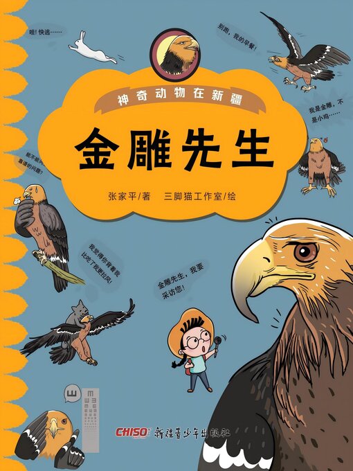 Title details for 金雕先生 by 张家平 - Available